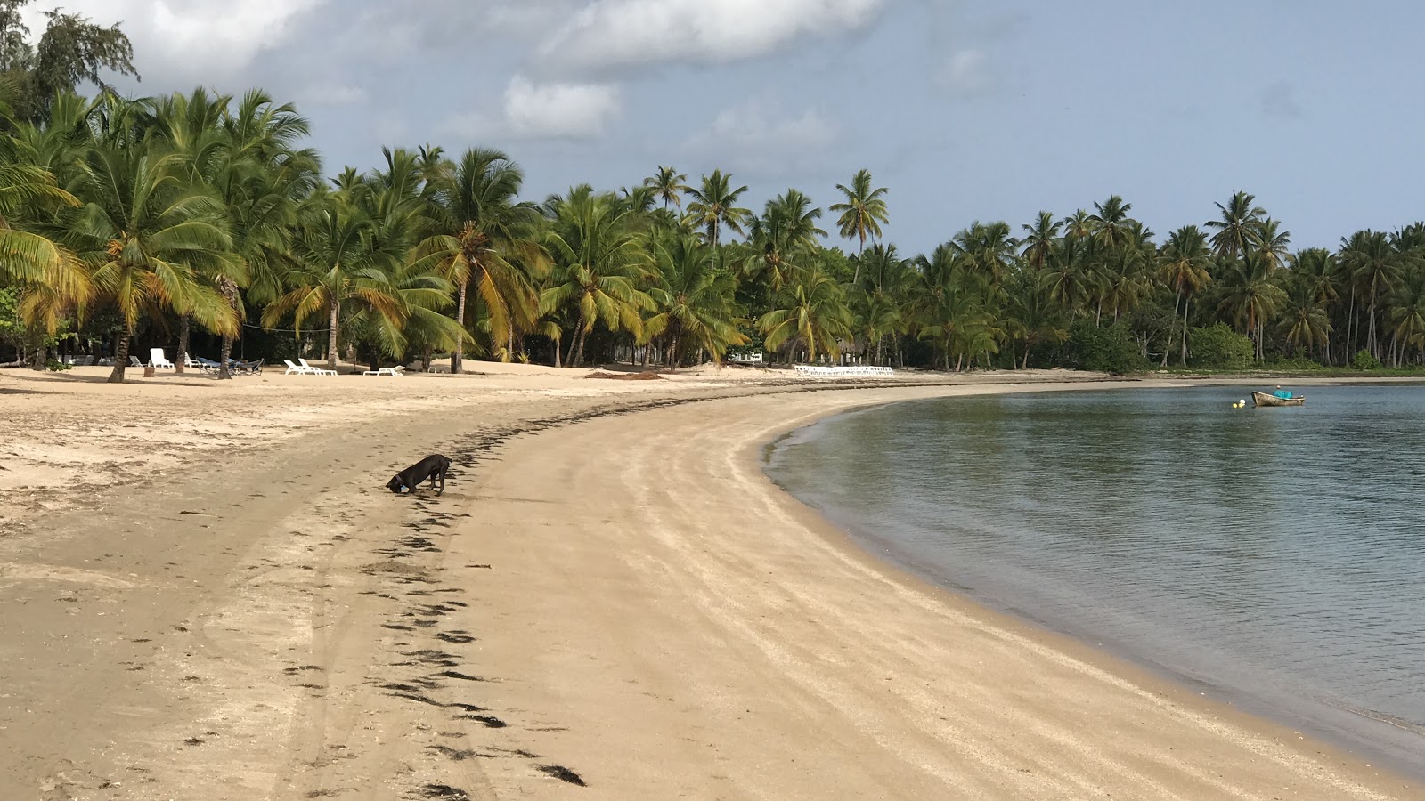 Photo of Playa Estillero with very clean level of cleanliness