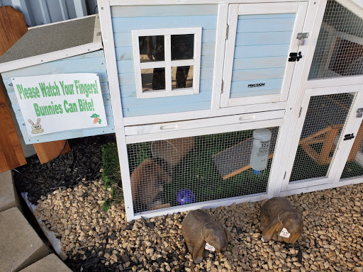 Hardware Store «Strand Ace Hardware- Escalon», reviews and photos, 3360 McHenry Ave, Escalon, CA 95320, USA