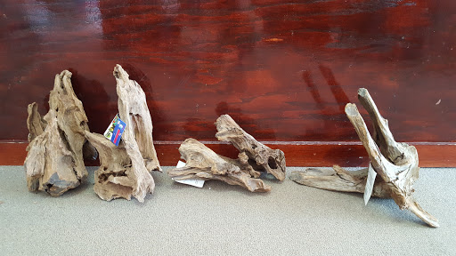 Tropical Fish Store «Optimum Aquarium», reviews and photos, 840 Ernest W Barrett Pkwy NW #700, Kennesaw, GA 30144, USA