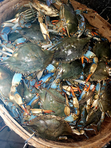 Seafood Market «Buckroe Bait & Tackle & Seafood», reviews and photos, 815 Buckroe Ave, Hampton, VA 23664, USA