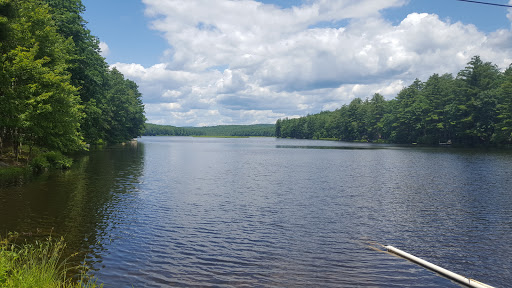 Tinkwig Mountain Lake Forest