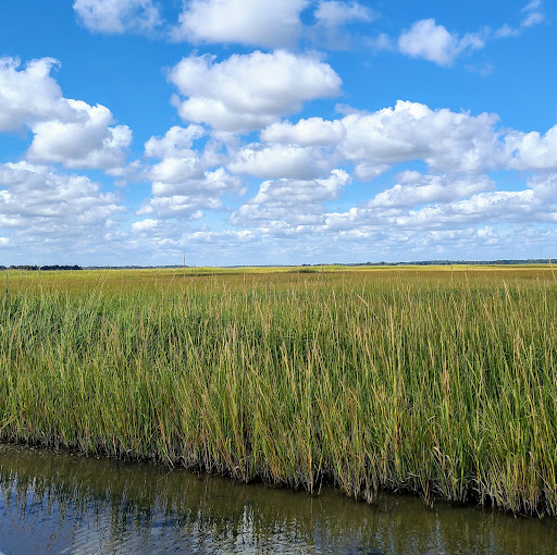 Nature Preserve «DuPont Nature Center», reviews and photos, 2992 Lighthouse Rd, Milford, DE 19963, USA