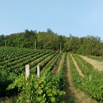 Photo n°2 de l'avis de Stefano.a fait le 19/07/2017 à 21:15 sur le  Corte d'Aibo Restaurant à Monteveglio