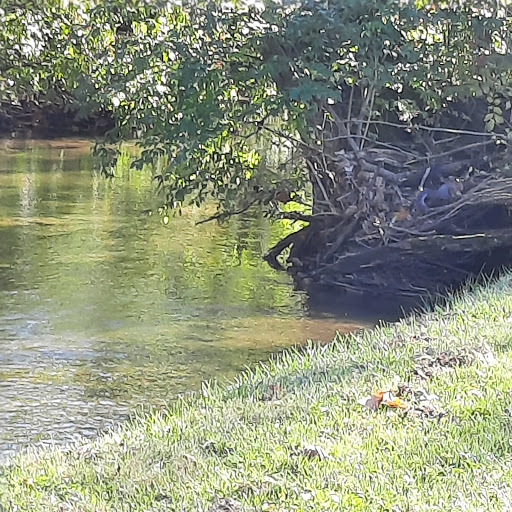 Park «A.B. Sawyer Park», reviews and photos, 9300 Whipps Mill Rd, Louisville, KY 40242, USA