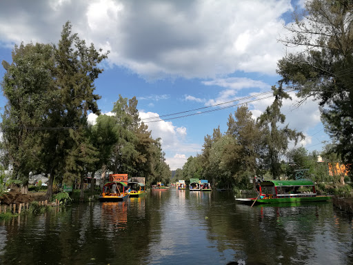 Bosque de Nativitas