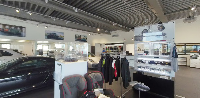Rezensionen über Centro Porsche Locarno in Locarno - Autohändler