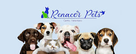 Centro Veterinario Renacer Pets