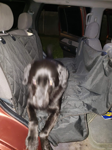 Pet Supply Store «Petco Animal Supplies», reviews and photos, 6720 Fox Centre Pkwy, Gloucester Courthouse, VA 23061, USA