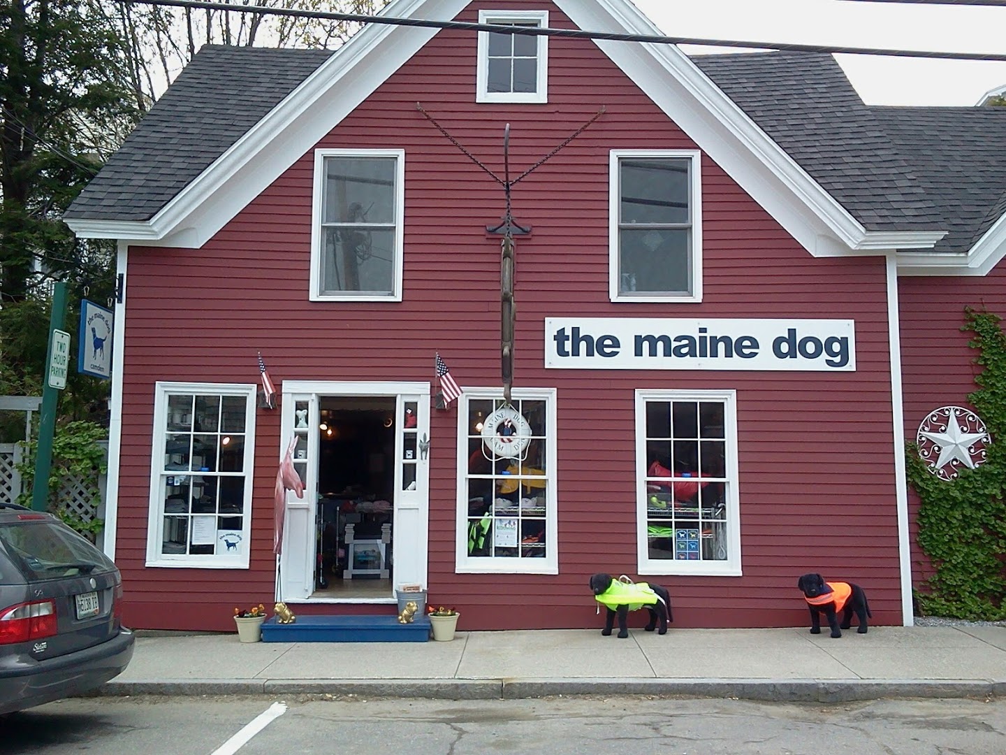 The Maine Dog