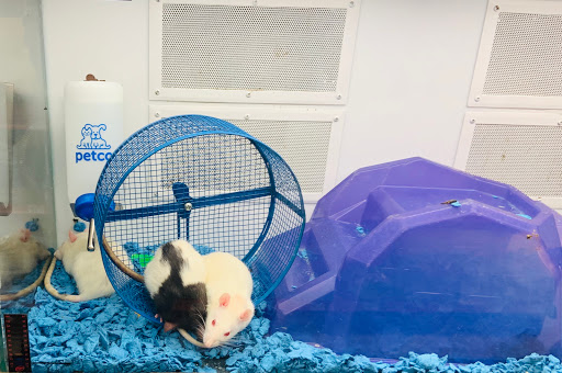 Pet Supply Store «Petco Animal Supplies», reviews and photos, 1951 N Military Trl c, West Palm Beach, FL 33409, USA