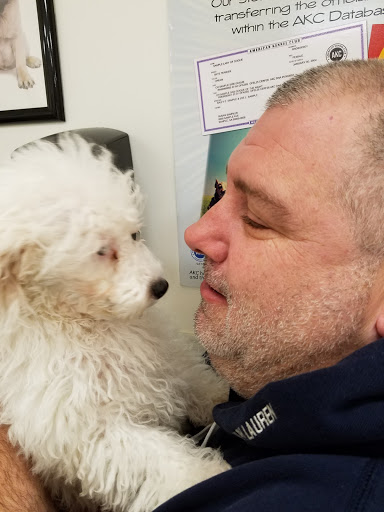 Pet Store «Puppy City», reviews and photos, 3343 Valley Pike, Winchester, VA 22602, USA