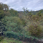 Photo n°8 de l'avis de Luciana.a fait le 07/11/2022 à 23:08 sur le  Ristorante Fuoco di Bosco à Lumarzo