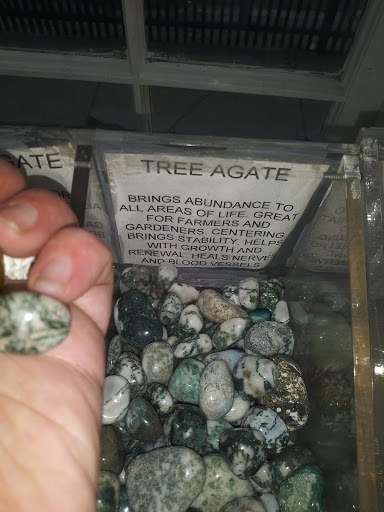 Book Store «Pyramid Books», reviews and photos, 214 Derby St, Salem, MA 01970, USA