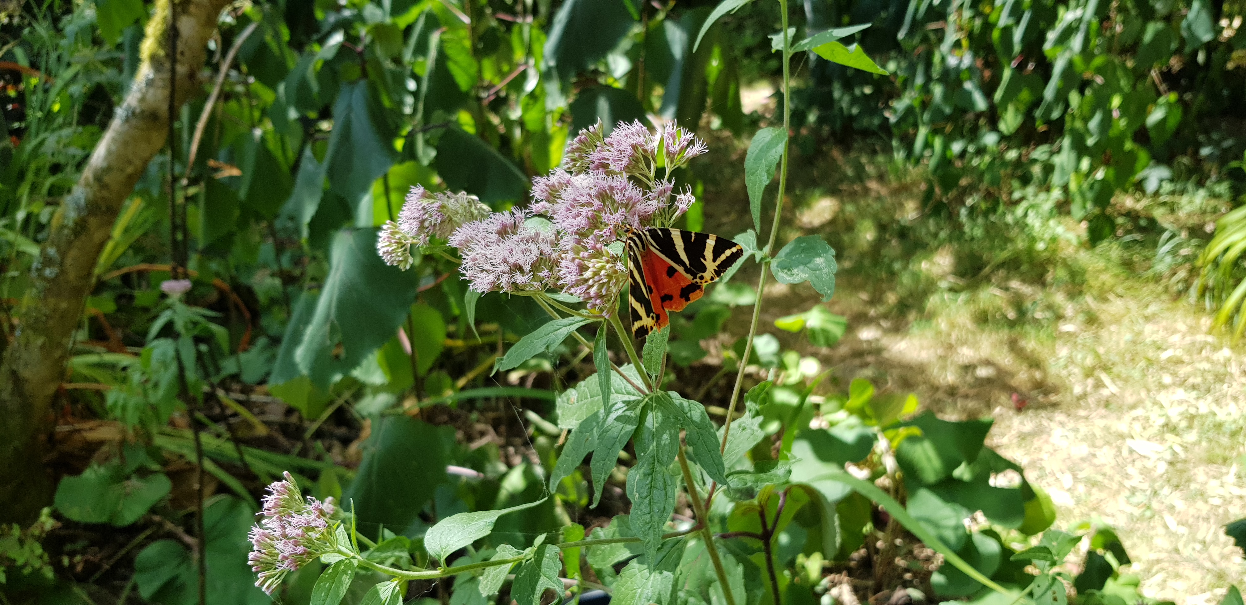 Photo n° 2 de l'avis de Fred.a fait le 11/08/2022 à 14:56