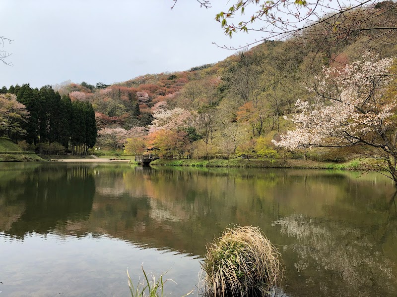 大分県青少年の森 森林学習展示館