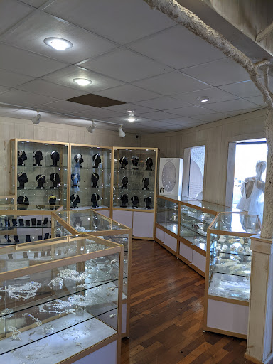 Bridal Shop «Sposa Bella Bridal Boutique», reviews and photos, 1578 Babcock Rd, San Antonio, TX 78229, USA