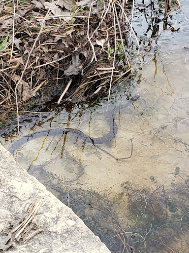 Nature Preserve «Maple Lake East - Mountain Bike Staging Area», reviews and photos, 9500 Willow Springs Rd, Willow Springs, IL 60480, USA