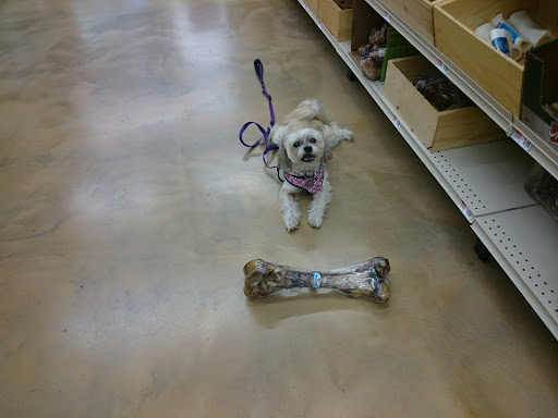 Pet Supply Store «Pet Supplies Plus», reviews and photos, 926 NJ-73, Marlton, NJ 08053, USA