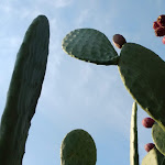 Photo n°6 de l'avis de Gi.i fait le 17/11/2019 à 20:00 sur le  Gli Ulivi Residence Ristorante à Porto Cesareo