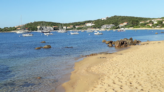 Porto Pollo beach