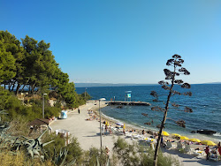Kupaliste Ovcice'in fotoğrafı kısmen tatil bölgesi