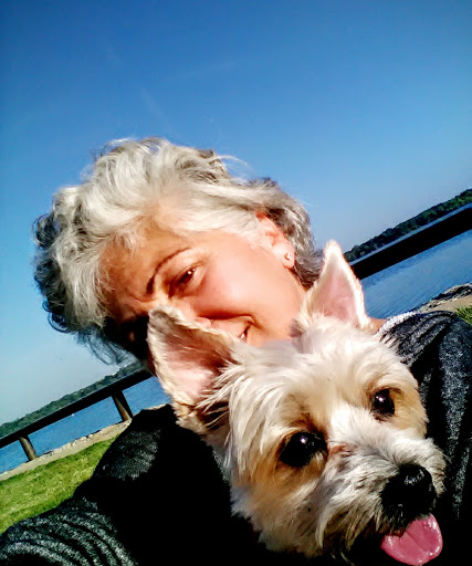 Park «Bowman Springs Park», reviews and photos, 7003 W Poly Webb Rd, Arlington, TX 76016, USA