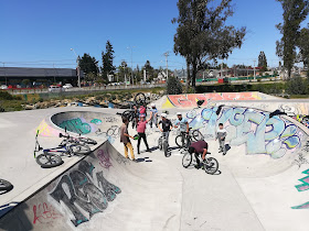 Parque Urbano y Skatepark Placilla de peñuelas