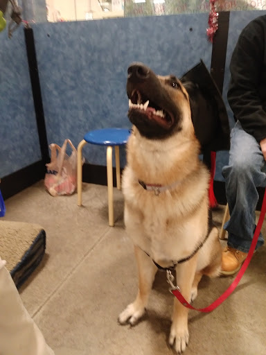 Pet Supply Store «PetSmart», reviews and photos, 475 Bank St, Waterbury, CT 06708, USA