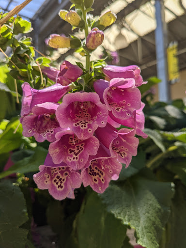 Home Improvement Store «The Home Depot», reviews and photos, 2104 E Independence St, Springfield, MO 65804, USA