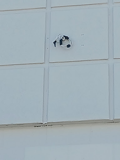 Discount Store «Walmart», reviews and photos, 3451 Tamiami Trail E, Naples, FL 34112, USA