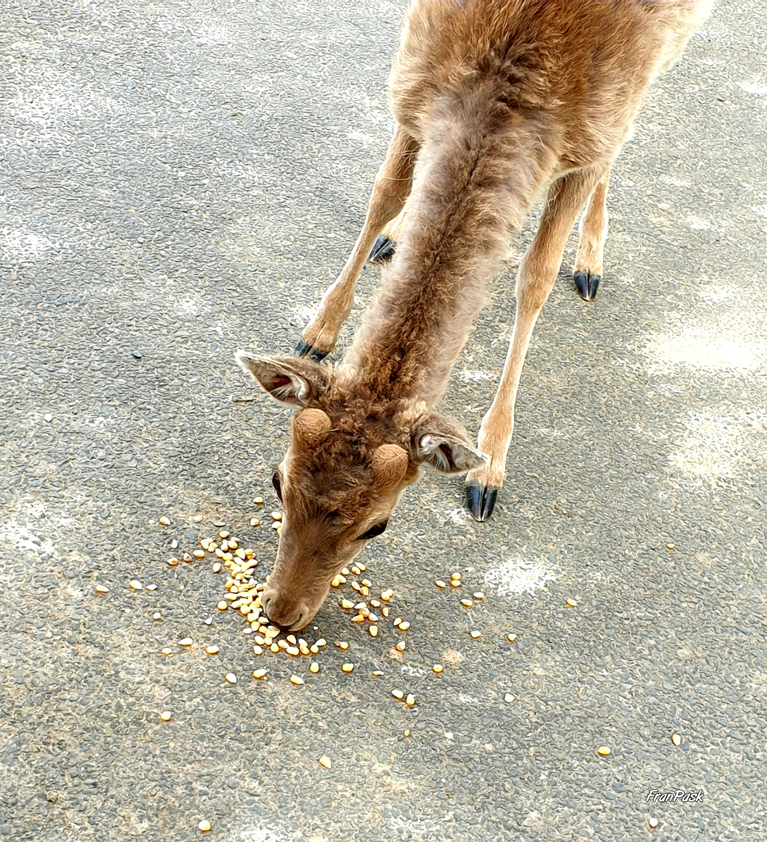 Photo n° 5 de l'avis de Frane.a fait le 15/04/2019 à 16:06