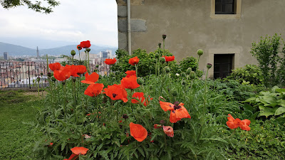 Département de l'Isère à Grenoble