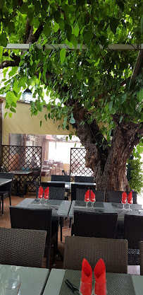 Atmosphère du Restaurant Les Muriers à Sari-Solenzara - n°6