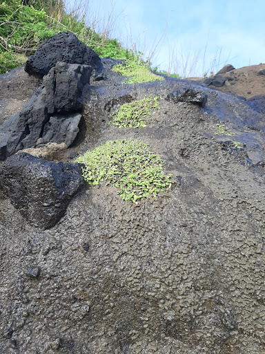 Top 20 cửa hàng akemi Huyện Lý Sơn Quảng Ngãi 2022