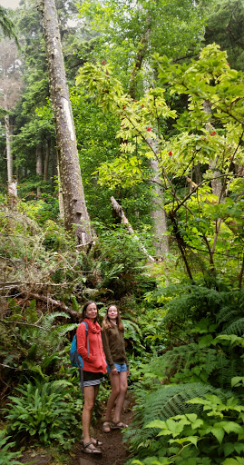 National Park «Olympic National Park», reviews and photos