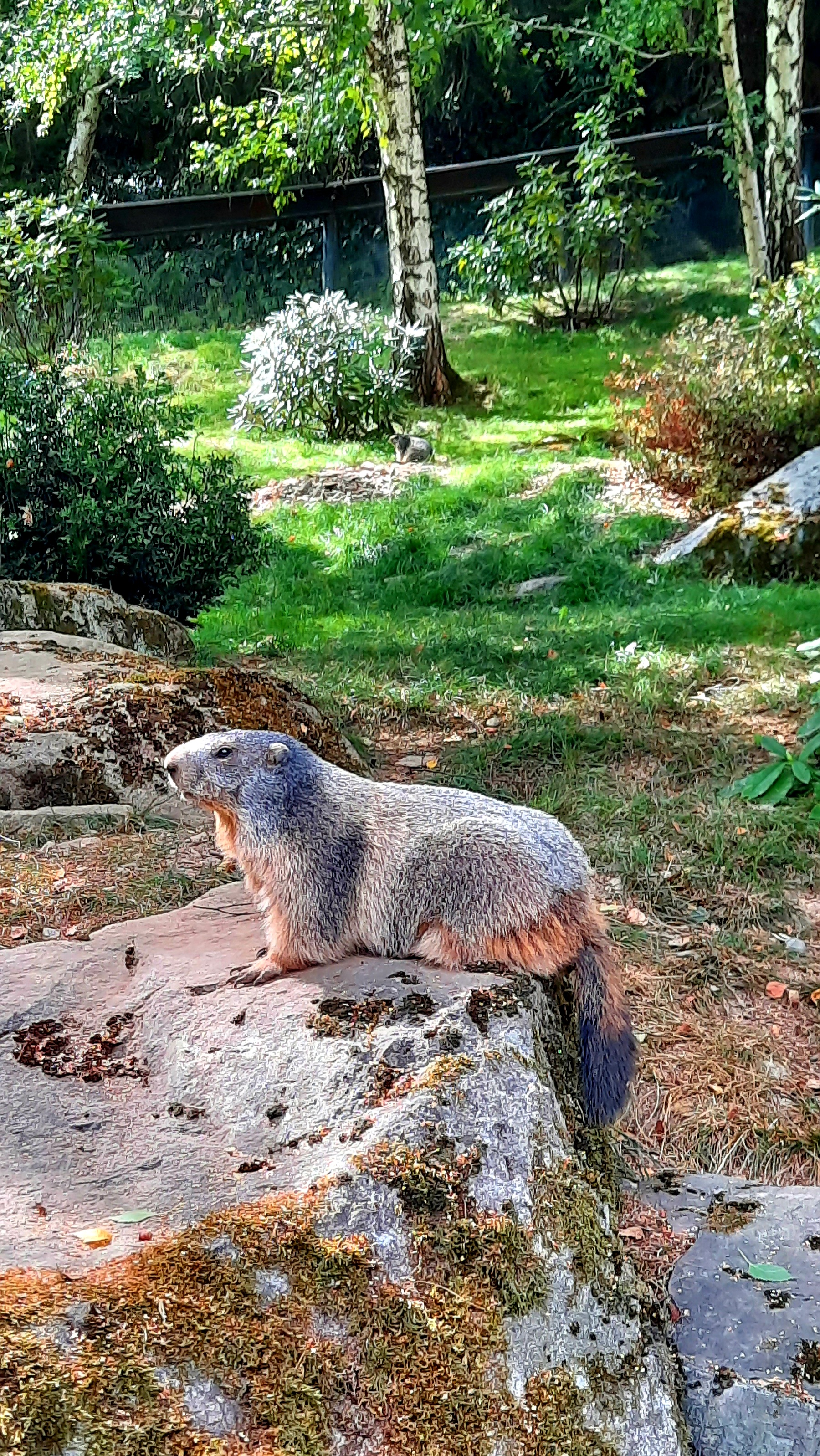 Photo n° 1 de l'avis de Audrey.E fait le 29/08/2022 à 21:59