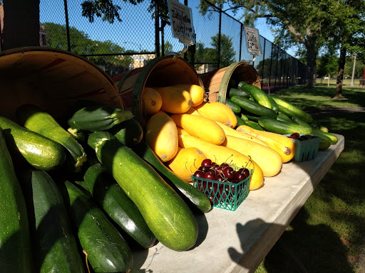 Park «Jefferson Park», reviews and photos, 4822 N Long Ave, Chicago, IL 60630, USA