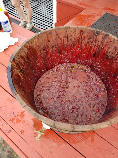 Winery «Laurita Winery», reviews and photos, 85 Archertown Rd, New Egypt, NJ 08533, USA