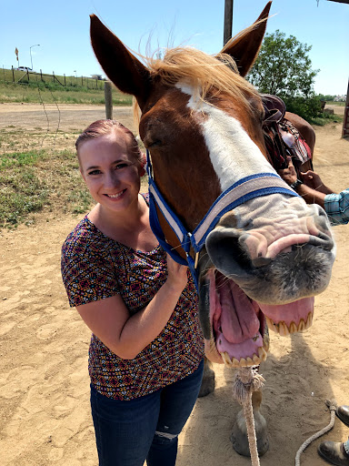 12 Mile Stables