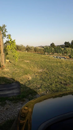 Vidéos Vacances à la ferme Casina di Pacina 53045 Abbadia