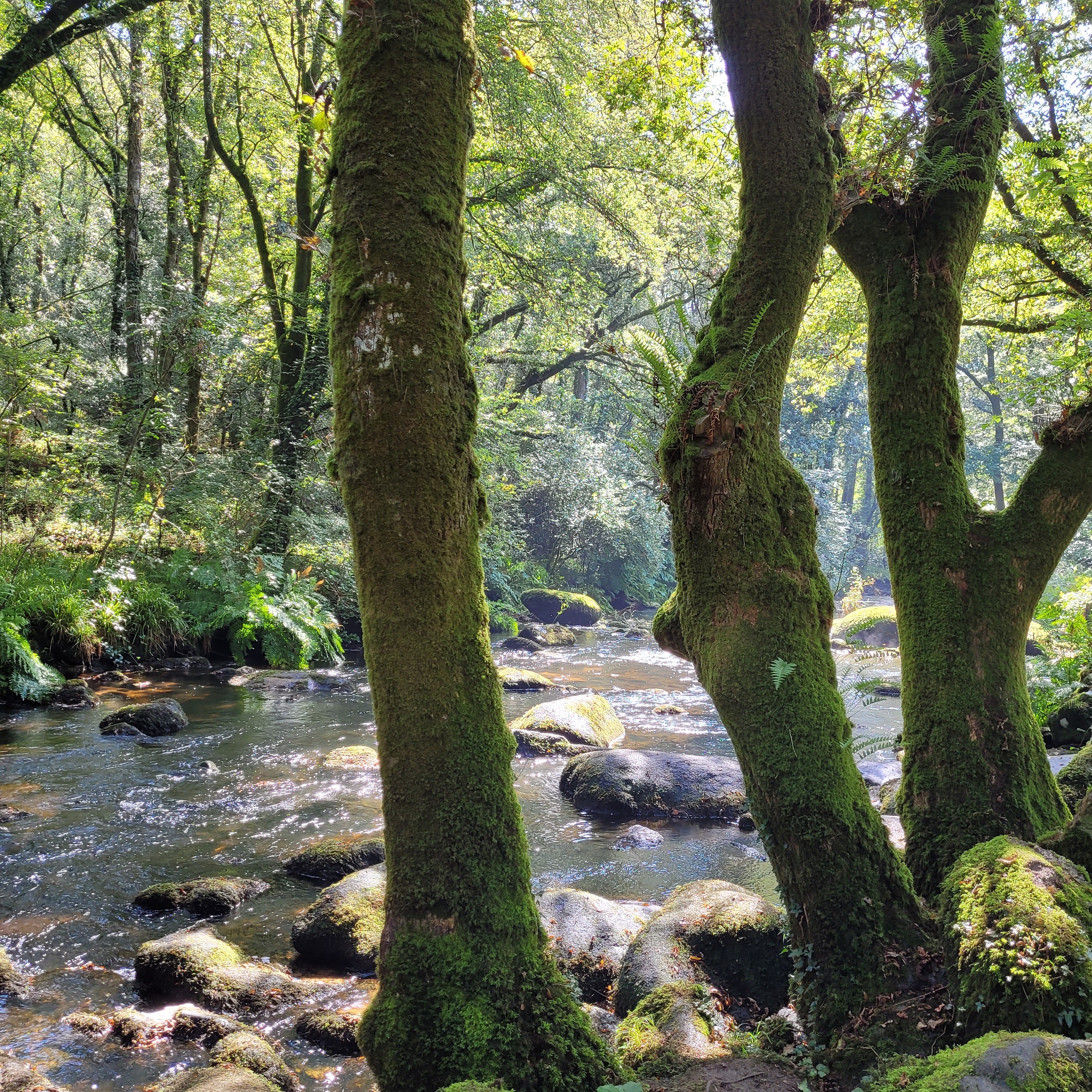 Photo n° 1 de l'avis de Jérôme.a fait le 25/08/2023 à 10:03