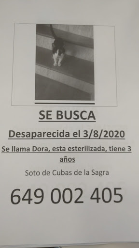 Centro Veterinario Serranillos en Serranillos del Valle