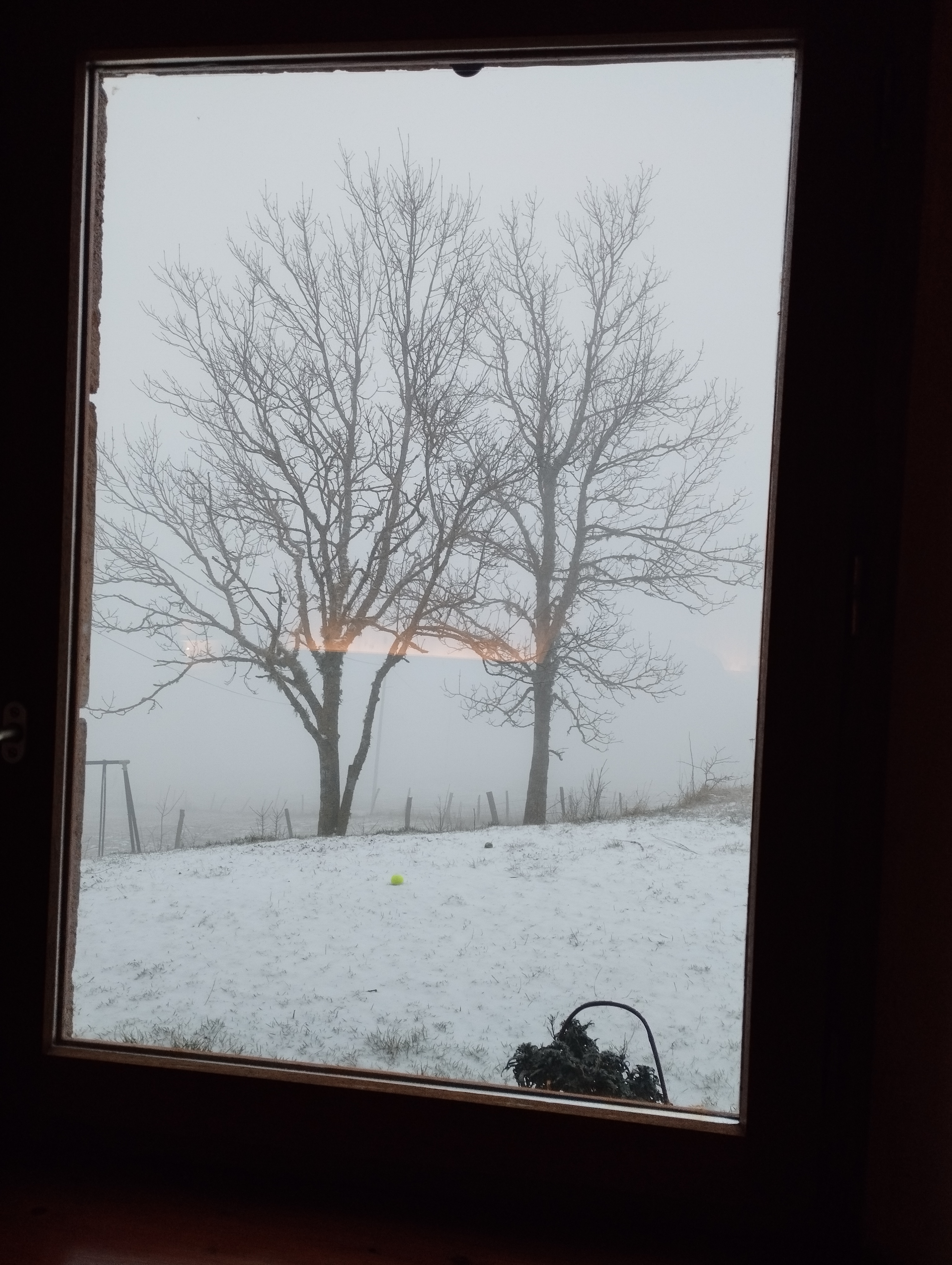Photo n° 2 de l'avis de Émilie.a fait le 29/02/2024 à 19:53