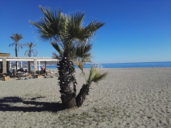 Puerto Banus