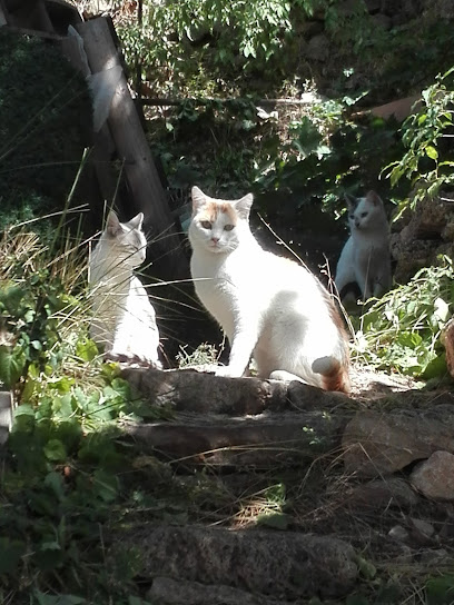 Parque – Edafo – Cuarte