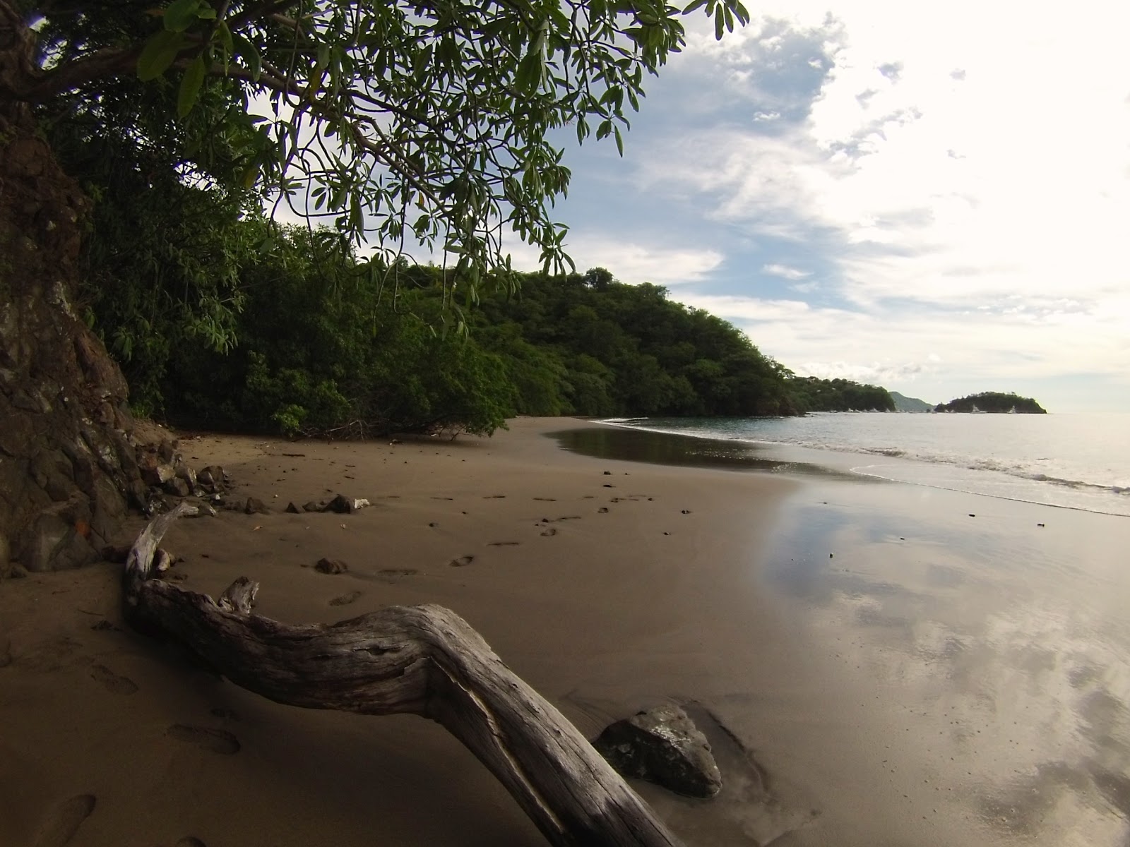 Photo de Gringo Beach avec un niveau de propreté de très propre