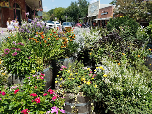 Exporter «Gruene General Store», reviews and photos, 1610 Hunter Rd, New Braunfels, TX 78130, USA