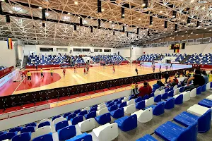 Sala Sporturilor Mioveni image