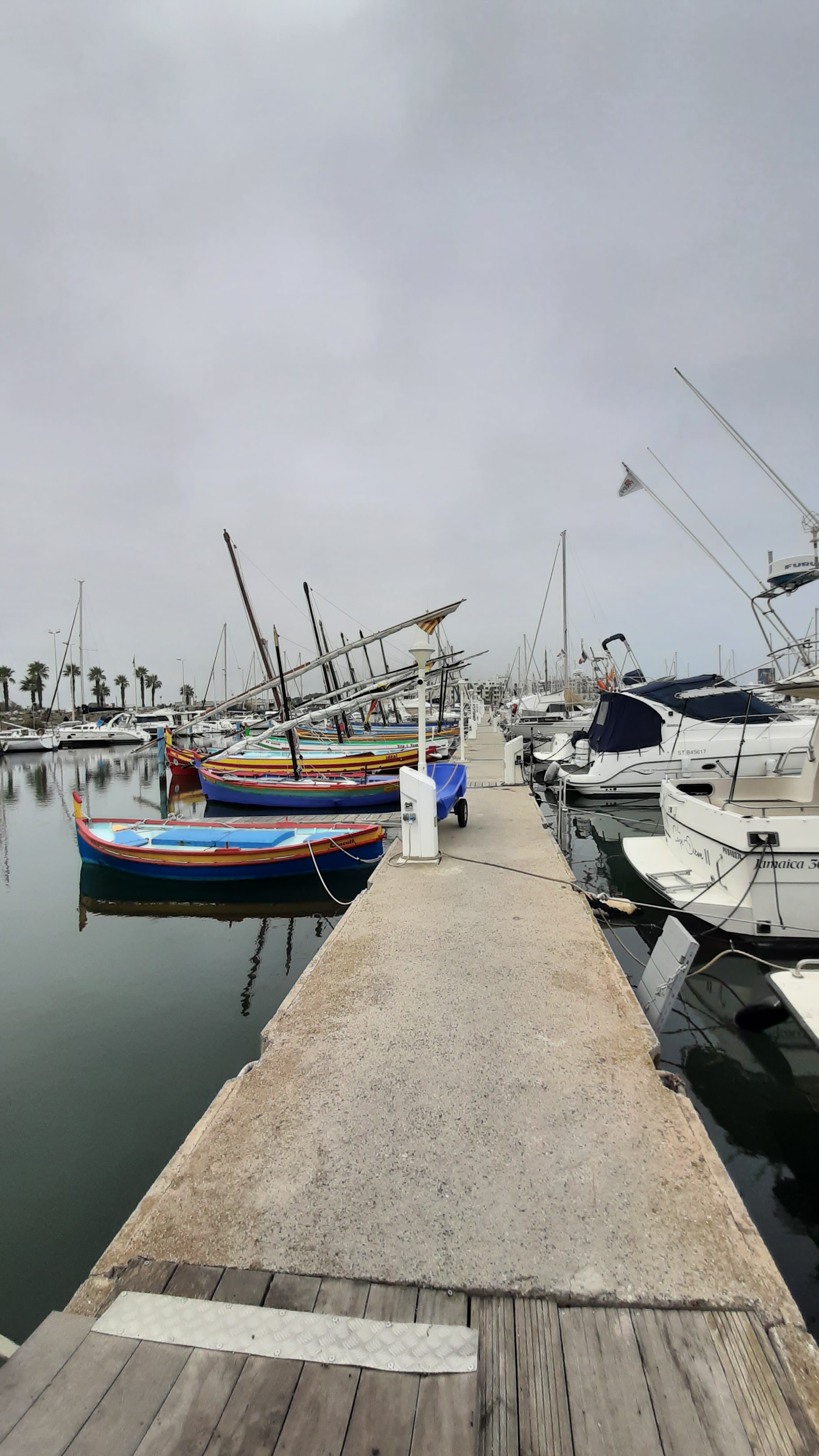 Photo n° 5 de l'avis de Raymond.e fait le 20/10/2022 à 16:25
