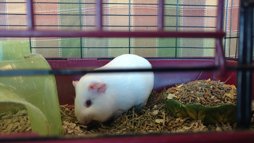 Pet Supply Store «Pet Partners», reviews and photos, 1962 W State St, Bristol, TN 37620, USA